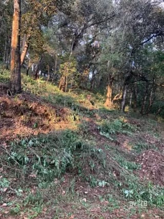El Encinal, tronco 10. Terreno de 4,460 varas en venta Q900,000 más impuestos, negociable — Terreno en Venta en El Encinal, Zona 7 Mixco, Guatemala, Ciudad — miniatura 3 de 9