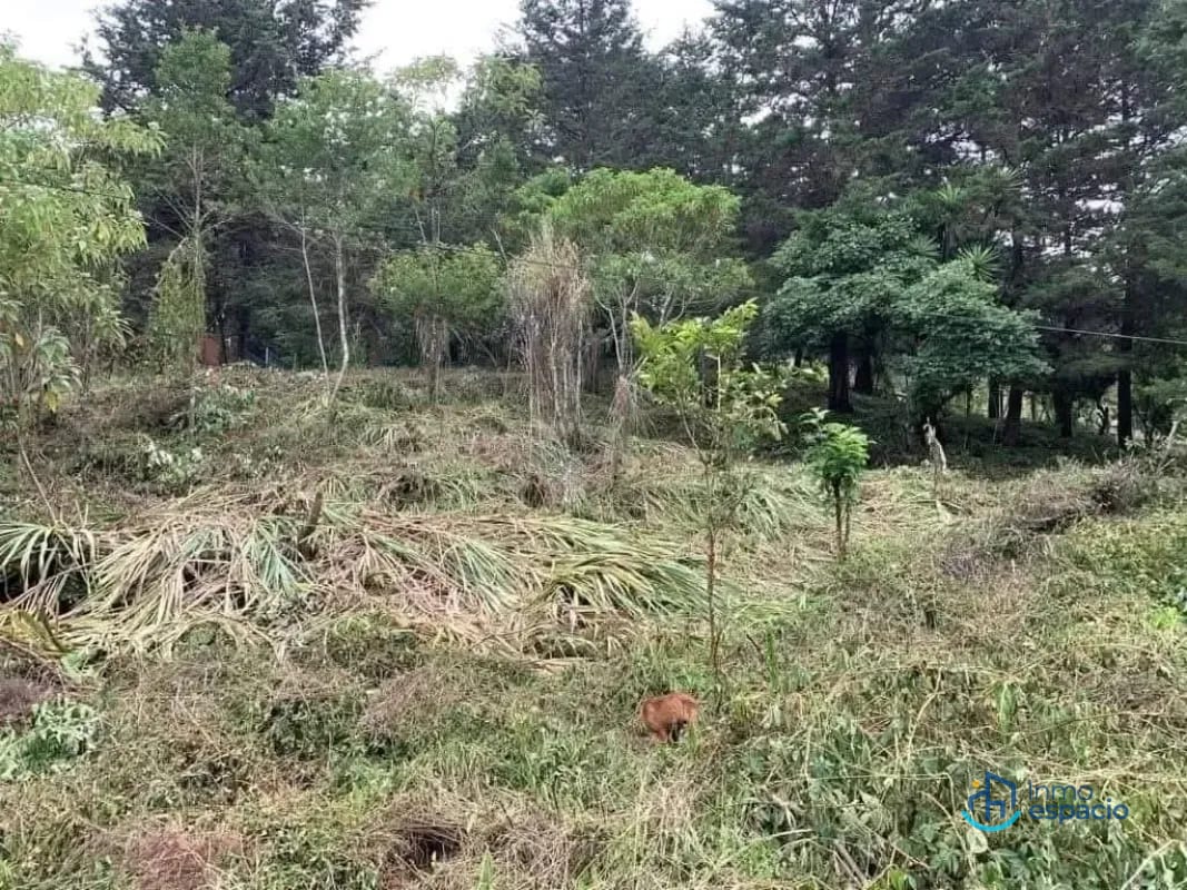 Terreno en venta – Km. 16 Carretera a El Salvador — Terreno en Venta en km 16-20, Carretera a El Salvador, Guatemala, Ciudad — foto 5 de 17