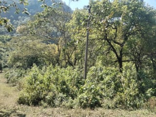 Terreno en Santiago Atitlán — Terreno en Venta en Santiago Atitlán, Sololá — miniatura 1 de 3