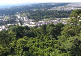 Terreno Zona 16 San Isidro, para Desarrollar 2.2 Manzanas de Terreno Ideal Desarrolladores 22,393 VRS2 $100 Vr, Cerca de Universidades , Colegios, Golf , Lomas de San Isidro y el Pulté S $ 2.239,300. — Terreno en Venta en Zona 16, Guatemala, Ciudad — miniatura 1 de 2