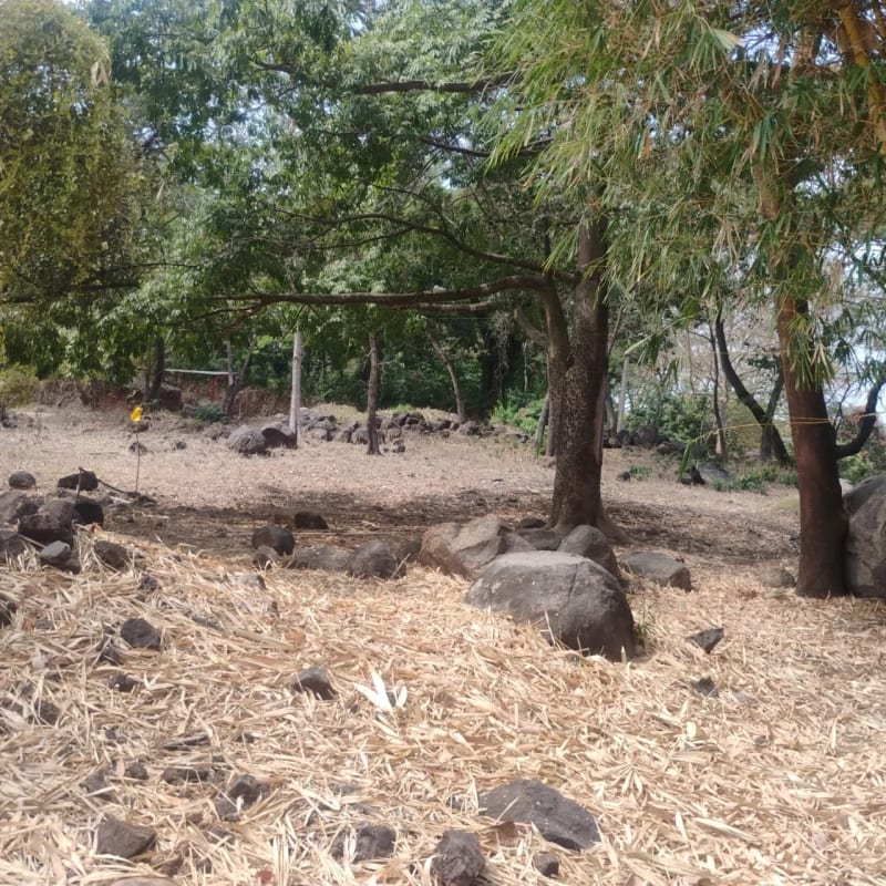 Re Vendo 2 Terrenos en Parque Industrial, Escuintla — Terreno en Venta en Escuintla, Escuintla — foto 3 de 4