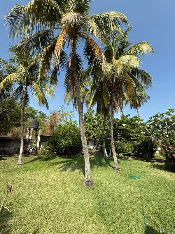 Propiedad con Piscina y Casa de Descanso en Venta en Torremolinos KM. 79 Autopista a Puerto Quetzal Escuintla — Terreno en Venta en Escuintla, Escuintla — foto 12 de 17