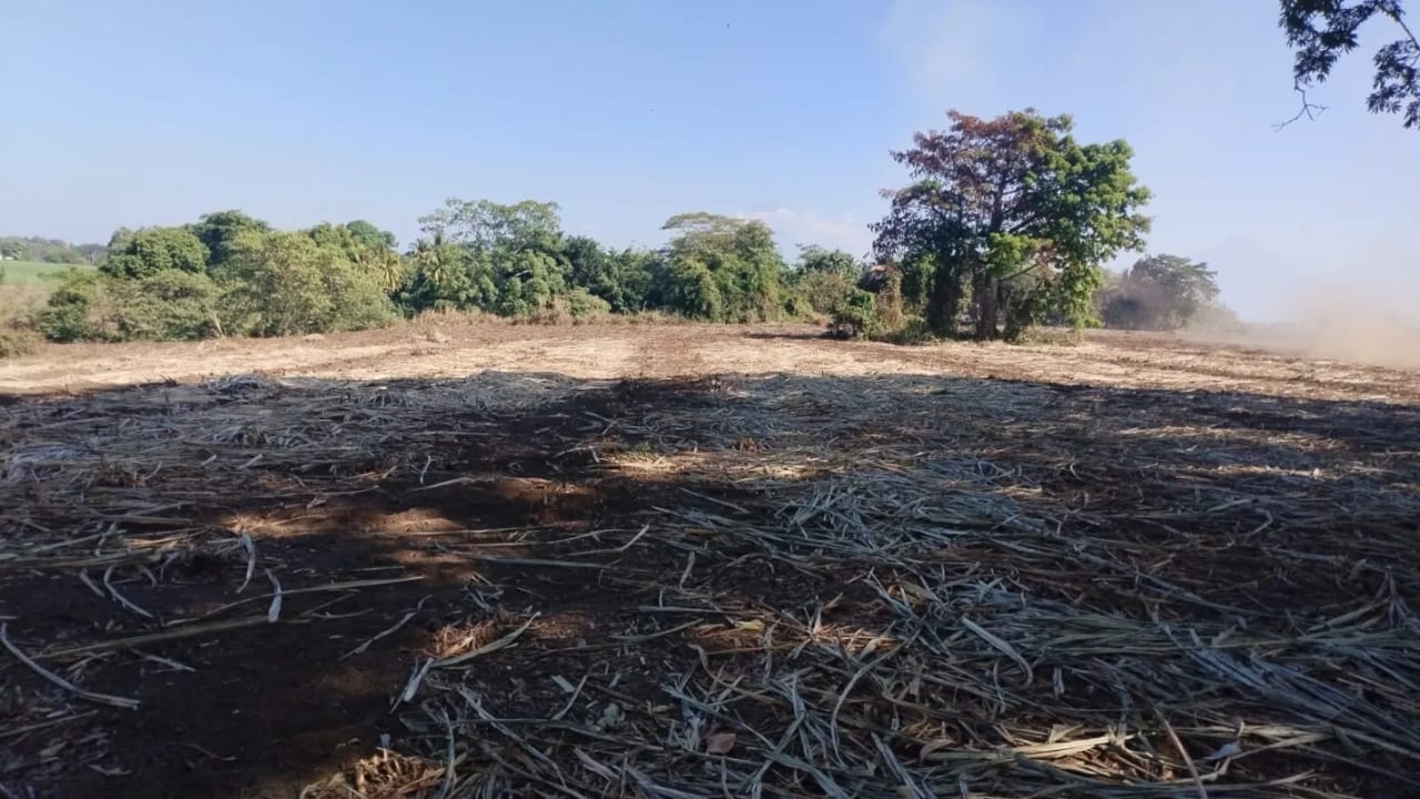 Terreno 43 Manzanas Escuintla — Finca en Venta en La Democracia, Escuintla — foto 1 de 5