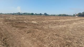 Terreno 43 Manzanas Escuintla — Finca en Venta en La Democracia, Escuintla — miniatura 3 de 5