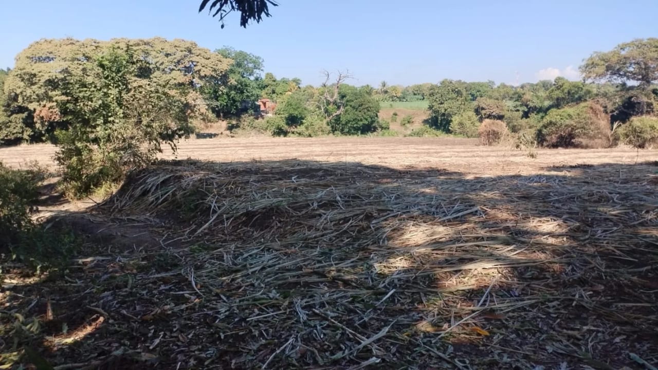 Terreno 43 Manzanas Escuintla — Finca en Venta en La Democracia, Escuintla — foto 2 de 5