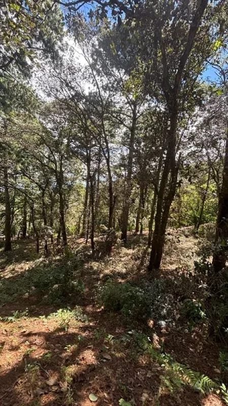 Venta de terreno en San Lucas Aldea El Choacorral — Terreno en Venta en San Lucas Sacatepéquez, Sacatepéquez — foto 3 de 4