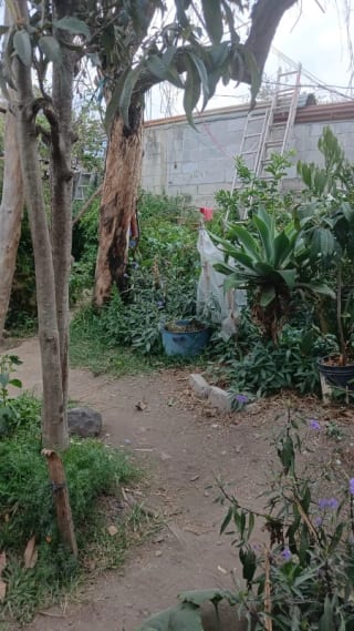 Terreno en Venta en el Corazon de Antigua — Terreno en Venta en Antigua, Sacatepéquez — miniatura 4 de 4