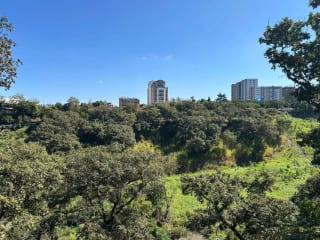 Vendo Terreno en Zona 10, Oakland 1 (copia) — Terreno en Venta en Oakland I, Zona 10, Guatemala, Ciudad — miniatura 4 de 5