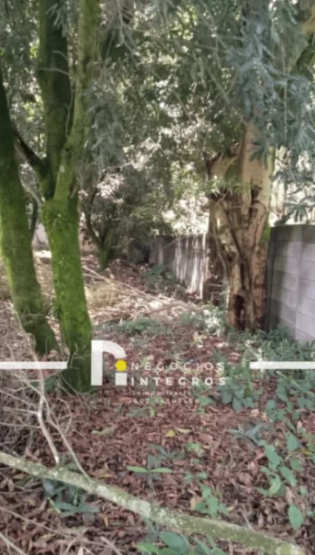Vendo Terreno en Hacienda el Comedador San Miguel Dueñas Pv — Terreno en Venta en Hacienda del comendador, San Miguel Dueñas, Sacatepéquez — foto 3 de 4