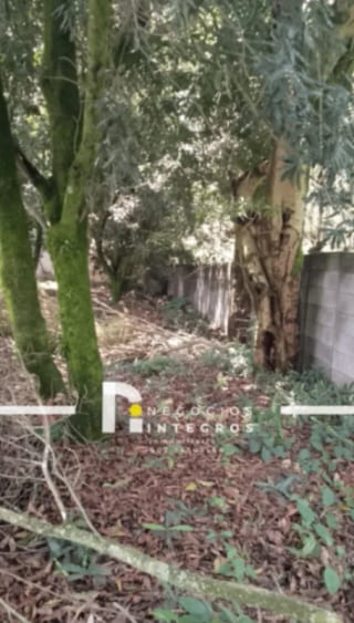 Vendo Terreno en Hacienda el Comedador San Miguel Dueñas Pv — Terreno en Venta en Hacienda del comendador, San Miguel Dueñas, Sacatepéquez — miniatura 3 de 4
