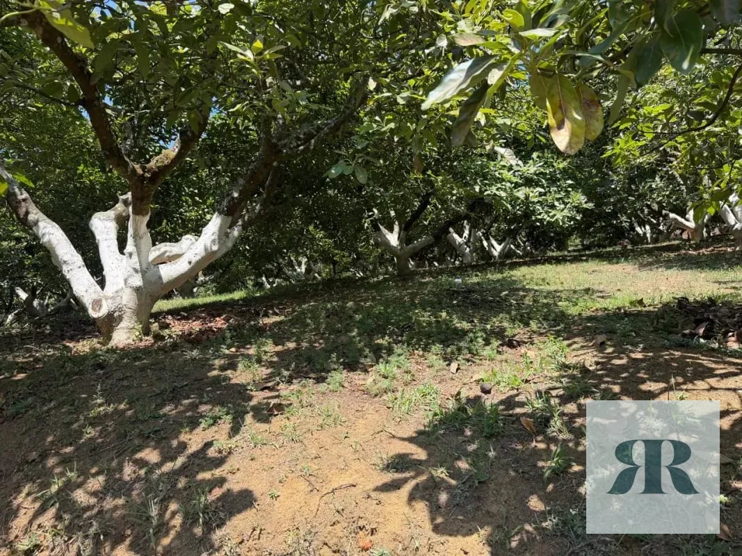 Venta Granja Santa Lucía Milpas Altas — Finca en Venta en Santa Lucía Milpas Altas, Sacatepéquez — foto 5 de 10